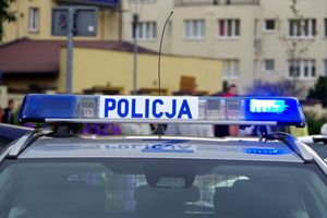 policja