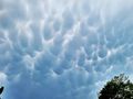 mammatus nad Polską