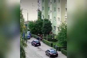 Próba samobójcza w Świdnicy