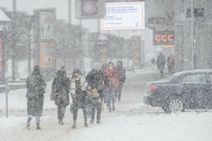 śnieżyca