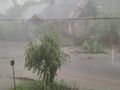 Stary Dzików nawałnica