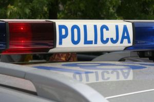policja