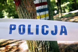 policja