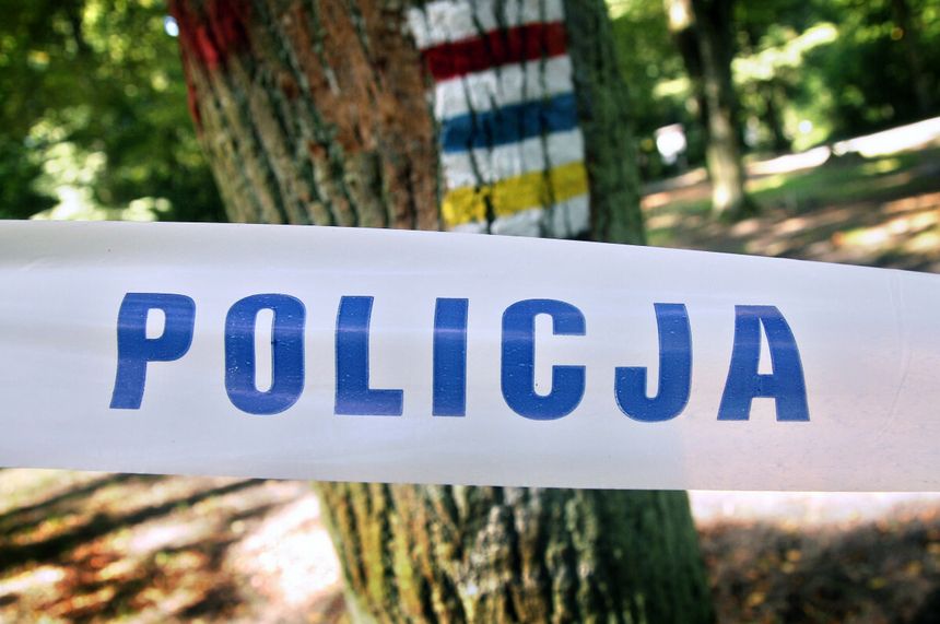 policja