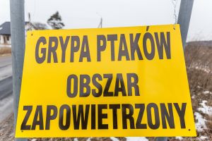 Wrocław, ptasia grypa w regionie