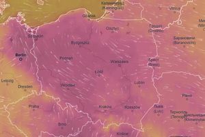 Prognoza długoterminowa