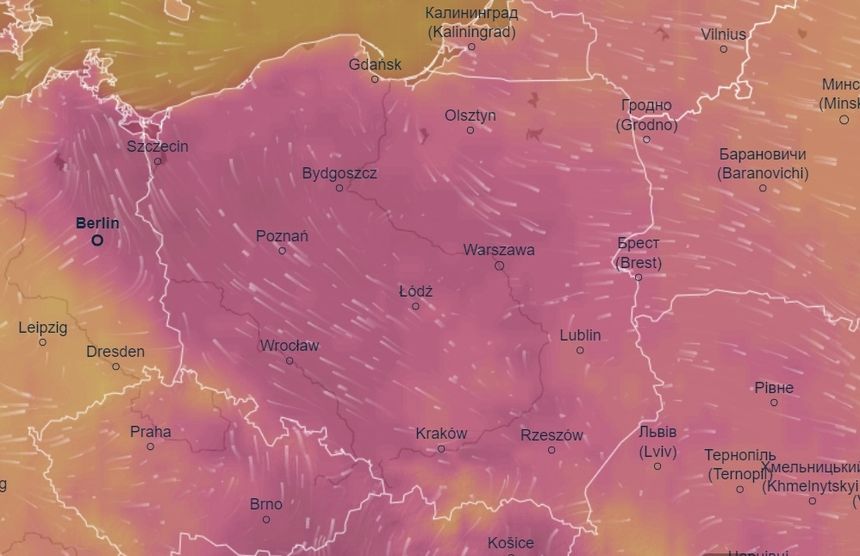 Prognoza długoterminowa