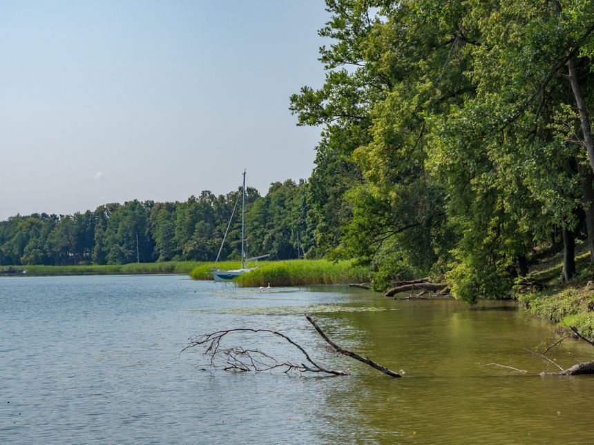 Wypadek