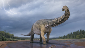 Nowy gatunek dinozaura