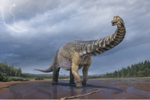 Nowy gatunek dinozaura