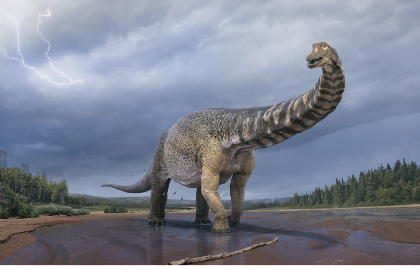 Nowy gatunek dinozaura