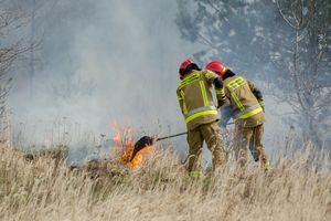 Pożary w Wielkopolsce - zdjęcie ilustracyjne