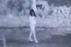 27-latek podejrzany o kradzież samochodu