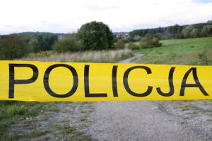 policja