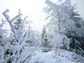 śnieg spadł w Polsce