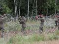 Montaż drutu kolczastego na granicy pomiędzy Polska i Białorusią