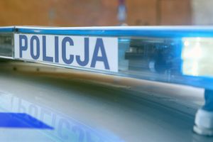 policja