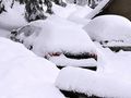 Pogoda w Polsce i bestia ze wschodu