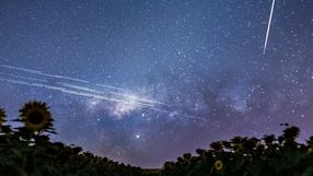 Starlink
