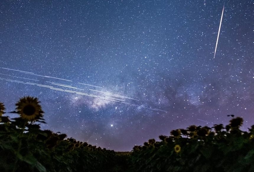 Starlink