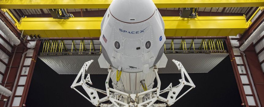 falcon