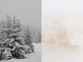 Żółty śnieg w Polsce