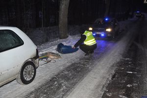 wypadek podczas kuligu