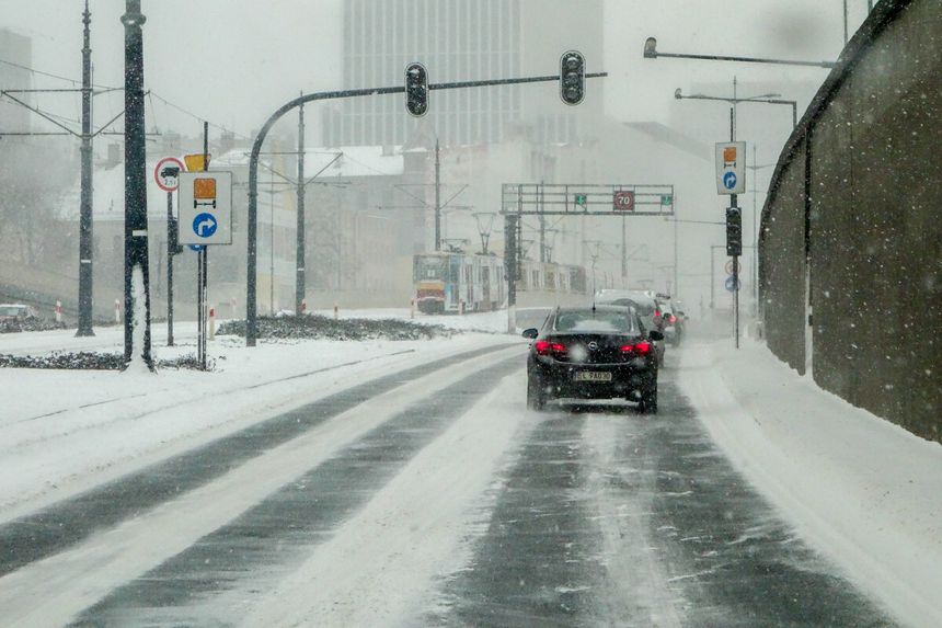 gołoledź