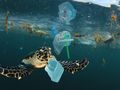 mikroplastik w oceanach