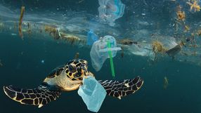 mikroplastik w oceanach