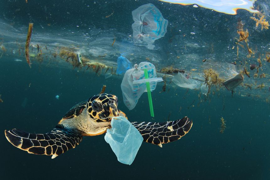 mikroplastik w oceanach