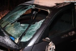 Kleśniska. Kierowca BMW potrącił pieszego