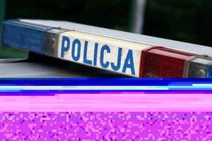 policja