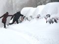 burza śnieżna i arktyczny mróz w Polsce