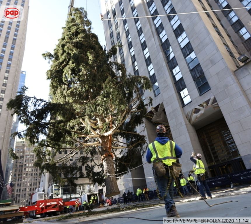 Choinka na Rockefeller Center