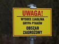 Ptasia grypa 