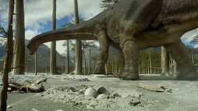 jaja dinozaurów