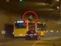 mężczyzna na dachu autobusu
