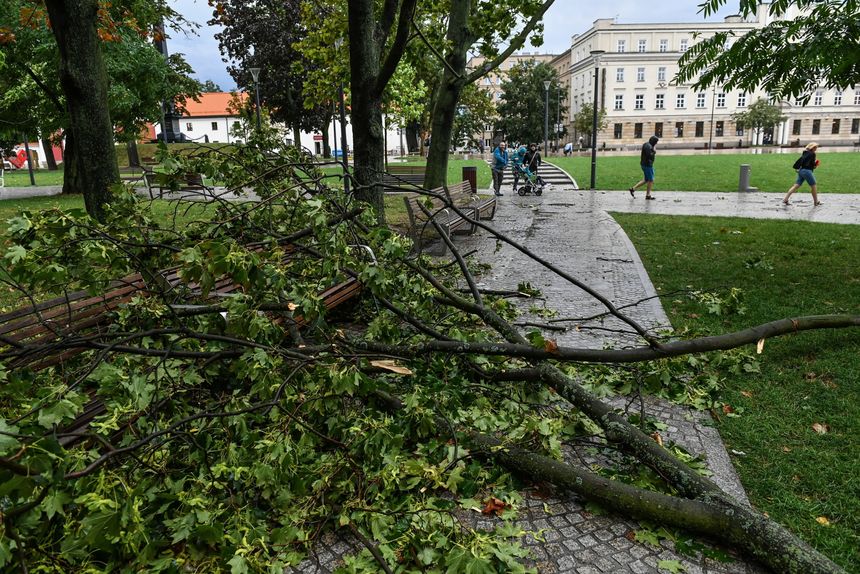 Zdjęcie ilustracyjne