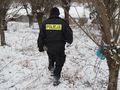 policja