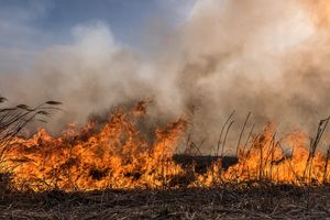 Pożar łąki. Poparzony mieszkaniec w ciężkim stanie