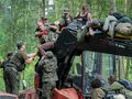 Wycinka puszczy białowieskiej