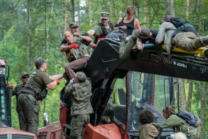 Wycinka puszczy białowieskiej