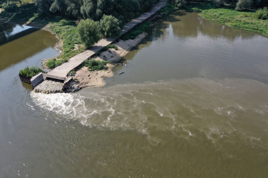 Czajka