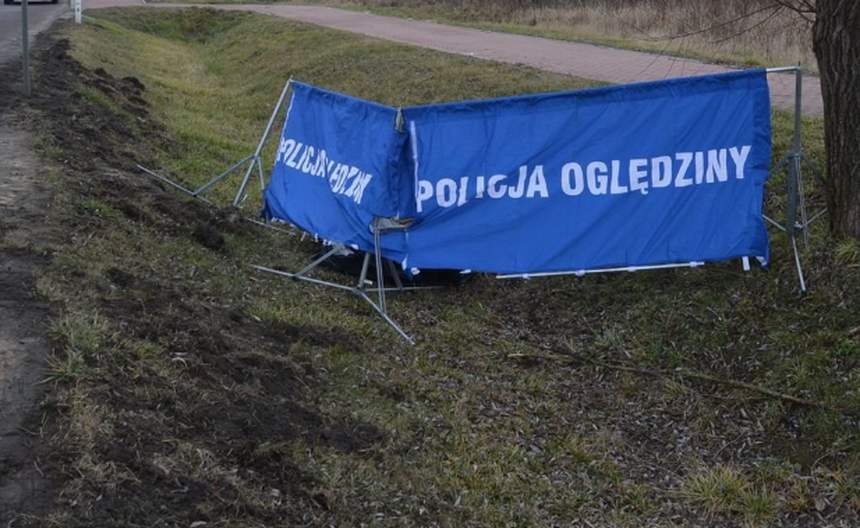 Zwłoki przy drodze 