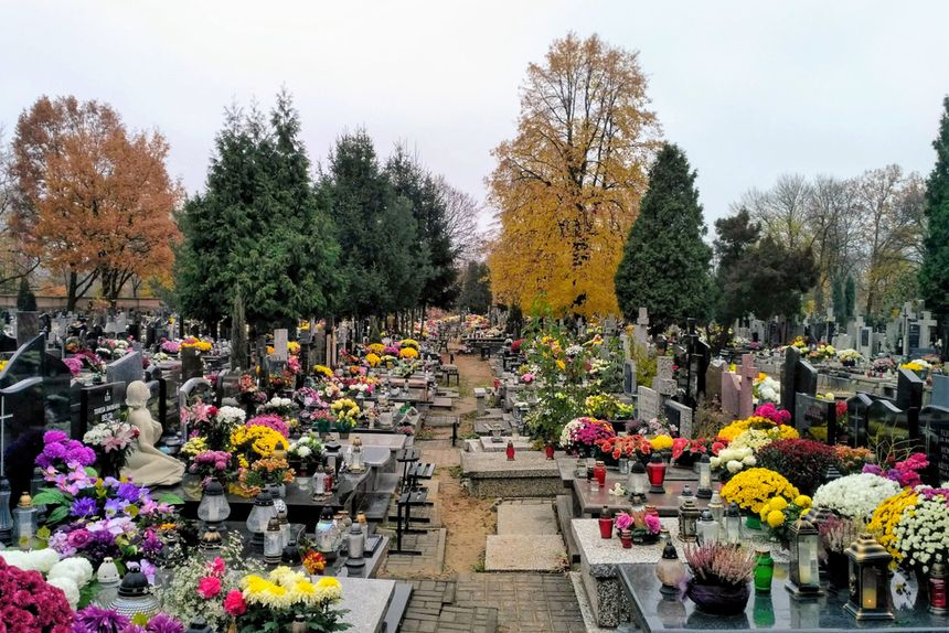 Warszawa. Jak dojadę na Cmentarz Bródnowski, Wojskowy, Powązki? [linia cmentarna, komunikacja, parking]