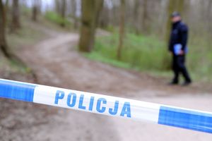 Gródek nad Dunajcem. Zatrzymano podejrzanego o postrzelenie 11-letniego harcerza