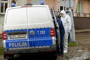 policja 