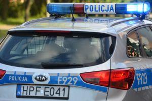 policja