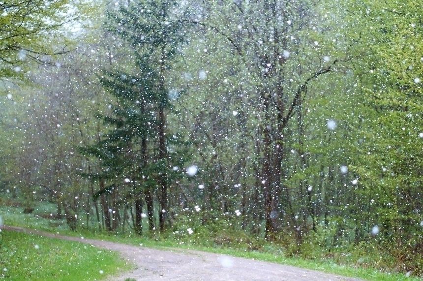 Deszcz, śnieg